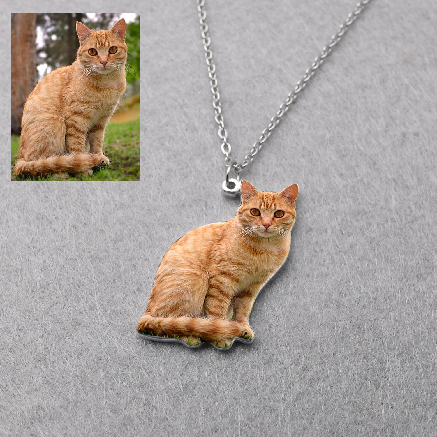 Personalized Pet Picture Neckl - огляд і ціна Pet Portrait Custom